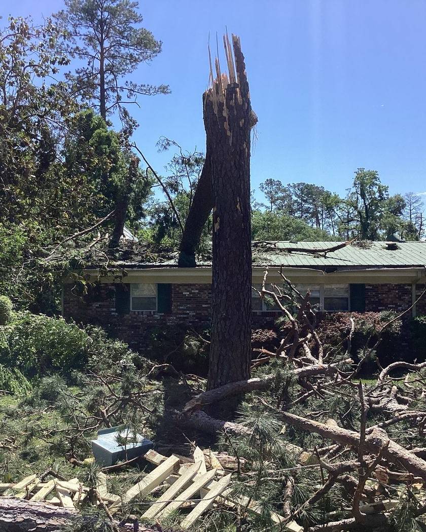 Snapped tree resting on a home after a tornado